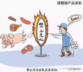 習水豬肉放心購，飼料原料供應穩——解析非洲豬瘟防控下的市場保障